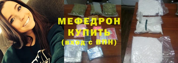 дживик Няндома