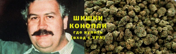 шишки Осинники