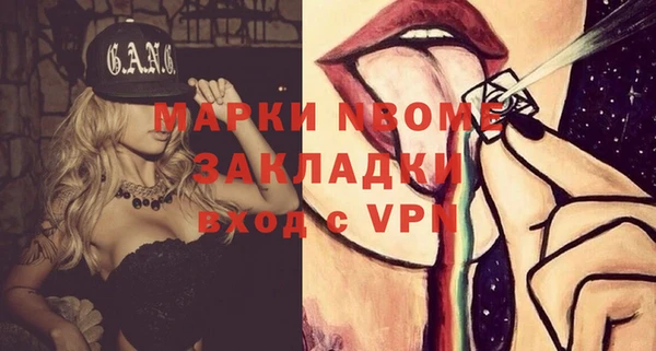 шишки Осинники