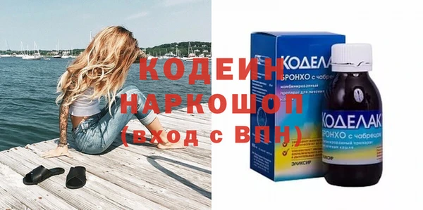 дживик Няндома