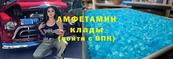 шишки Осинники