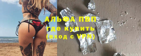 дживик Няндома