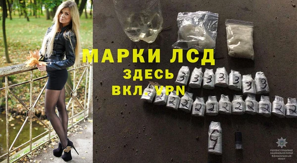 дживик Няндома