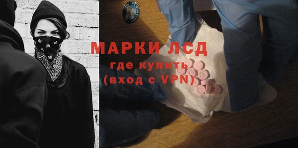 шишки Осинники