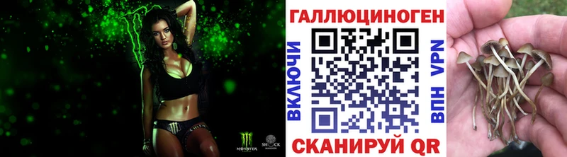 Галлюциногенные грибы мухоморы  Ладушкин 